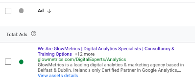 Responsive Search Ads Assets
